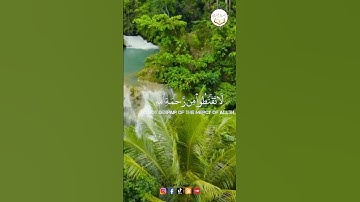 قُلْ يَا عِبَادِيَ الَّذِينَ أَسْرَفُوا عَلَىٰ أَنفُسِهِمْ - سوره الزمر _ القارئ ادريس بكر