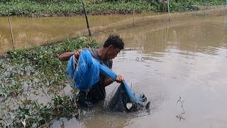 Tư Cà Khịa Ngạc Nhiên Vì Trong Chài Có Cá Lạ