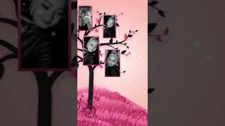 Storageemulated0Pic2Videolo Mas Ermoso En Mi Brianna Rivera-241019-024115