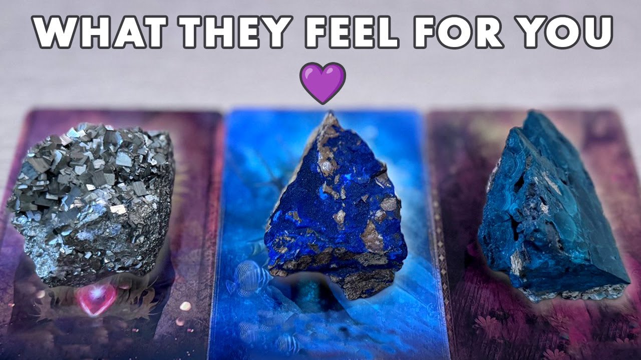 What They Feel for You 💜 Their Next Move | Pick A Card • Tarot Reading • Timeless