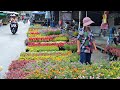 Chatuchak Plant and Flower Market Bangkok 2020 | Walking Tour from MRT Station [4K 60fps]