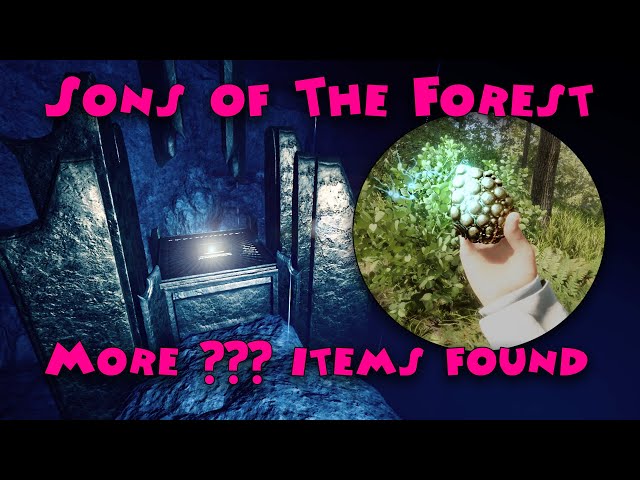 SONS OF THE FOREST - ONDE ENCONTRAR A PÁ ? #3 