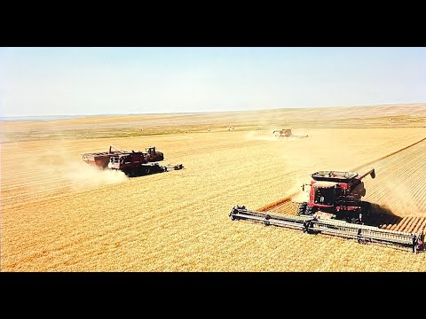 Let The Combines Roll! Harvest 2024 Pt.1