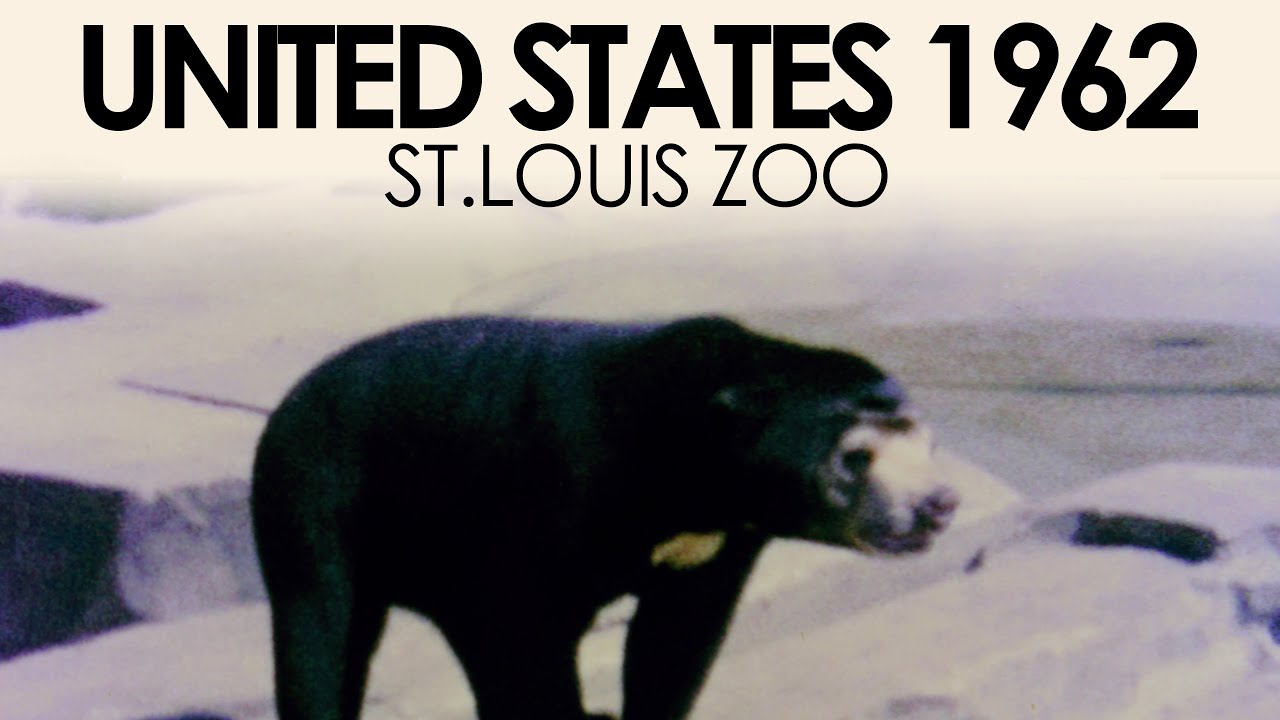 Archive footage of St. Louis zoo in the 1960s | 8mm home movie
