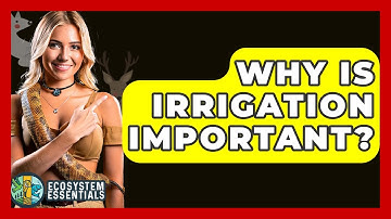 Why Is Irrigation Important? - Ecosystem Essentials