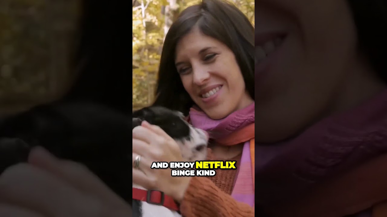 Unwind with the Ultimate Couch Buddy  The Laid Back Boston Terrier  