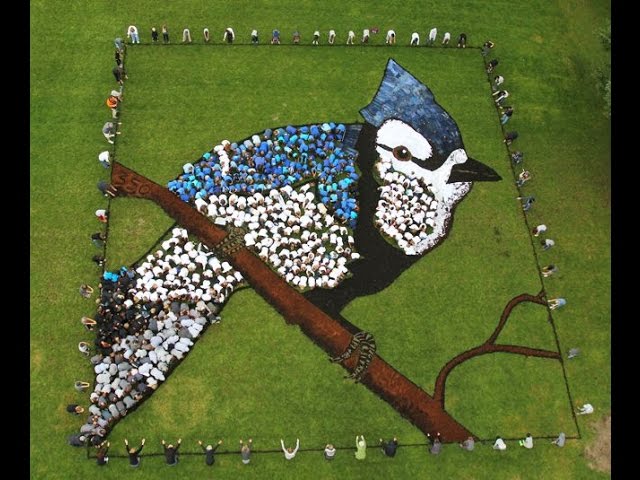 Daniel Dancer Environmental Sculpture Artists Promotions, New Joiners