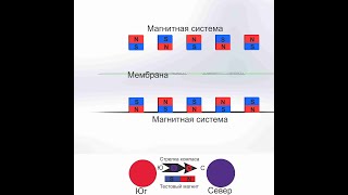 ТДС-7 и ТДС-15 расположение магнитов