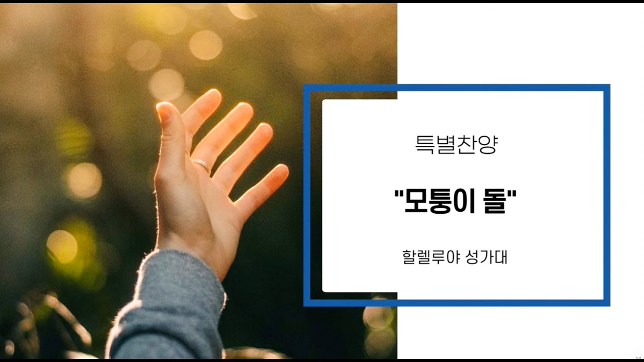 [대전제자들교회 주일 특송] 2026.02.22 