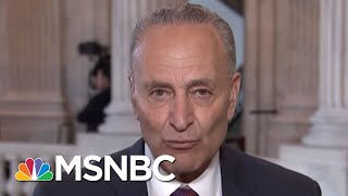 Chuck Schumer Slams President Donald Trump For 'Absurd' Border Remark | Morning Joe | MSNBC