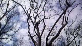 SNC00713.avi