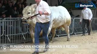 Runako Van Knokke 2024