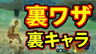 【ゼルダの伝説 BotW】無限収集 裏ワザ ブレスオブザワイルド 裏キャラを仲間にする方法を完全解説