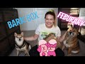 BarkBox February 2021 Unboxing | Bark Box Dinner Dates | Review | Shiba Inu