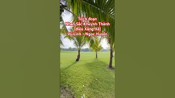 Nhan Sắc Khuynh Thành (Xàng Xê) || Vũ Linh & Ngọc Huyền #cailuong #tanco #vulinh #ngochuyen ❤️💕🥰