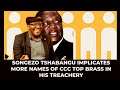 Sengezo tshabangu implicates more names in the ccc top brass in his treachery