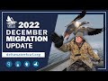 December 2022 Migration Update | Delta Waterfowl