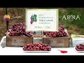 Arra varieties  topfruit  the 10th international table grapes symposium south africa