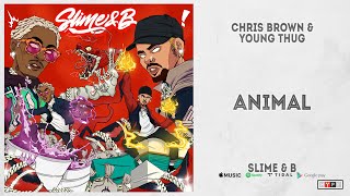 Chris Brown & Young Thug - \