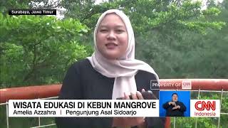 Wisata Edukasi Di Kebun Mangrove