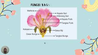 BAGIAN-BAGIAN BUNGA DAN FUNGSINYA