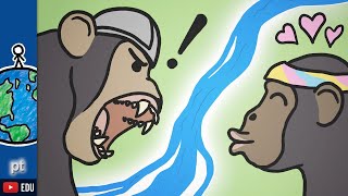 Como esse rio tornou chimpanzés violentos? | Minuto da Terra