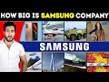 How many companies does samsung own  20 gdp of entire south korea