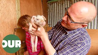 Meeting 'Old Spot Pigs' in Gloucester | Ade in Britain E8 | Our Taste