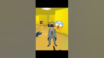 HIDE IN THE BACKROOMS / HIDE IN THE BACKROOM