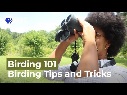 Tips and Tricks