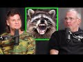 True Crime: Raccoons | Animal Control Man