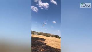 UN INCENDIO FORESTAL EN PALOMAS MOVILIZA A VARIOS PARQUES DEL CPEI