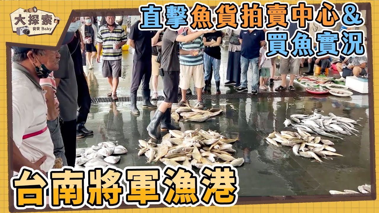 【漁港走透透 Fishing Harbor Tales】#55 台南將軍漁港及買魚實況｜Fishing Port & Seafood ｜EP_149