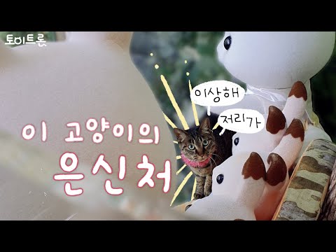 [장난감 나라의 트론이] EP. <strong>331</strong> 이 고양이의 은신처