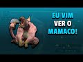 Monster Hunter Freedom Unite - Episódio 3: Caçando o Congalala!