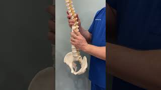 Chiropractor Columbus GA Spine Misalignment Video for Health First Family Chiropractic, P.C.