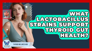 What Lactobacillus Strains Support Thyroid Gut Health? - Thyroid Wellness Hub