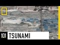 Tsunamis: Unraveling the Science Behind Nature's Most Destructive Waves