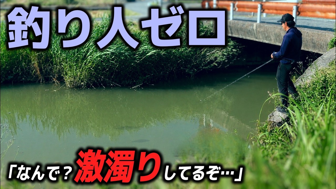 Can a JB TOP50 Pro Catch Fish in the Café-au-Lait Colored Yanagawa