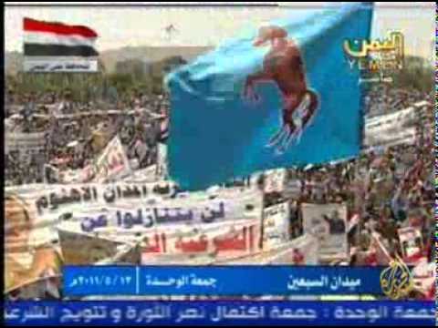إستمرار المظاهرات المطالبة بتنحي صالح