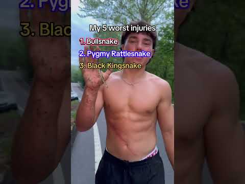 The Last One Was The Worst Snakes Reptiles Animals Herping Funny Herpetology Animals