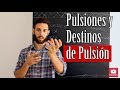 Pulsiones y Destinos de Pulsión - Freud  (parte 1)