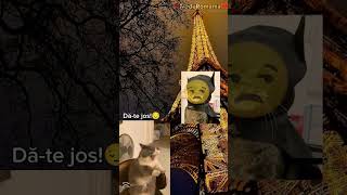 pov:copilu vreau Mc dar pe turnul Aifel din Paris