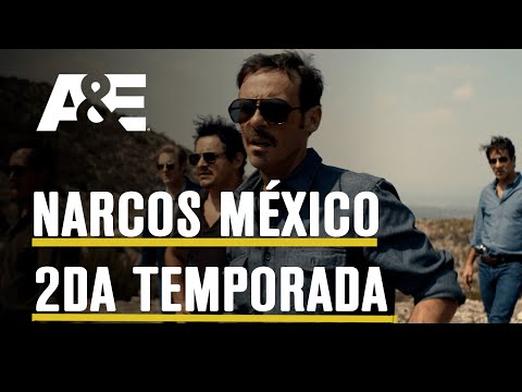 QUÉ PODEMOS ESPERAR DE NARCOS MEXICO - NARCOS MÉXICO