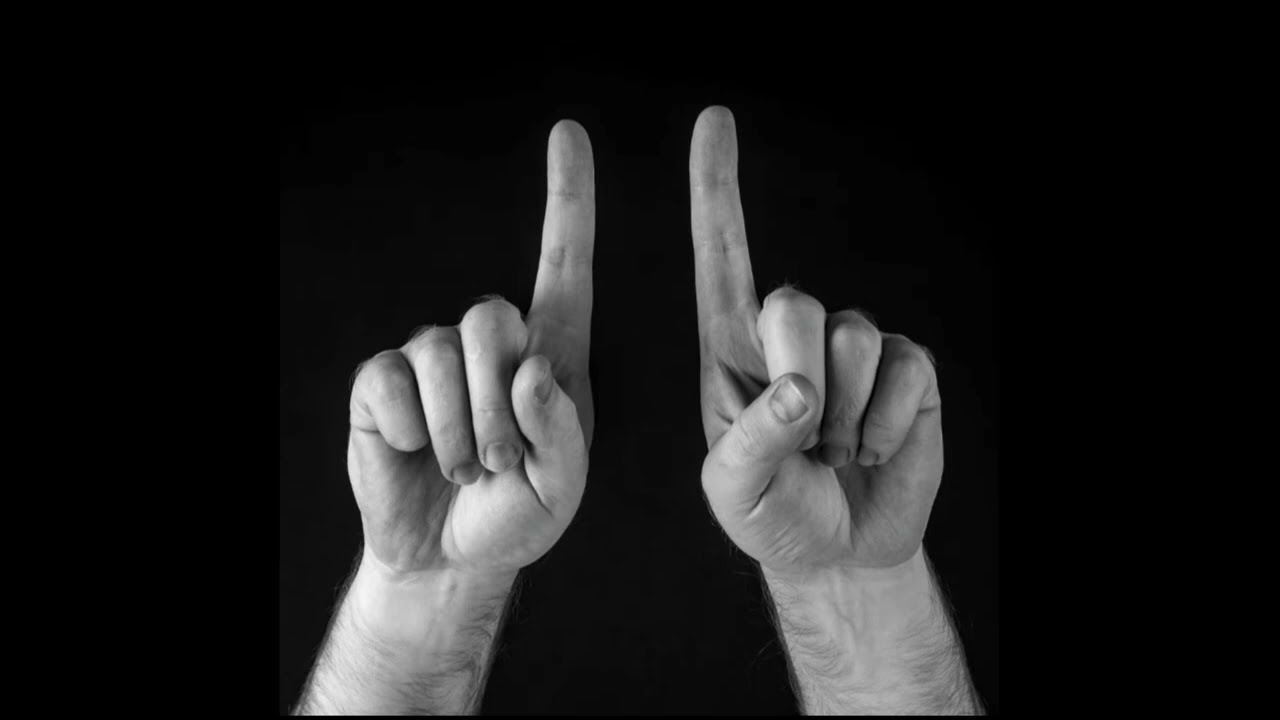 Mira Tram 11 - Jebo sliku svoju (Official Audio) en YouTube Mira Tram 11 - Jebo sliku svoju (Official Audio) en YouTube