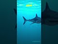 4 April 2026