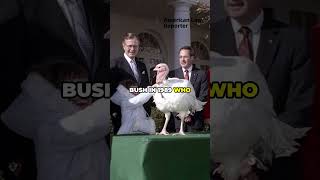 The Surprising History of Turkey Pardoning and Presidential Authority in Thanksgiving Tradition