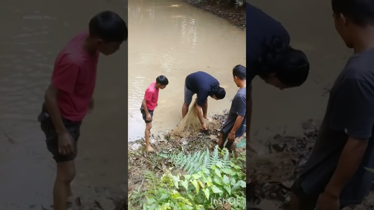 Family picnic 🐟#vlogs # videos 