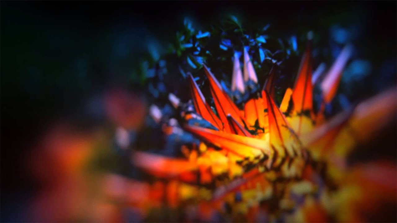 Watch Last Days - Missing Photos (Late Night Tales: Jon Hopkins) on YouTube Watch Last Days - Missing Photos (Late Night Tales: Jon Hopkins) on YouTube