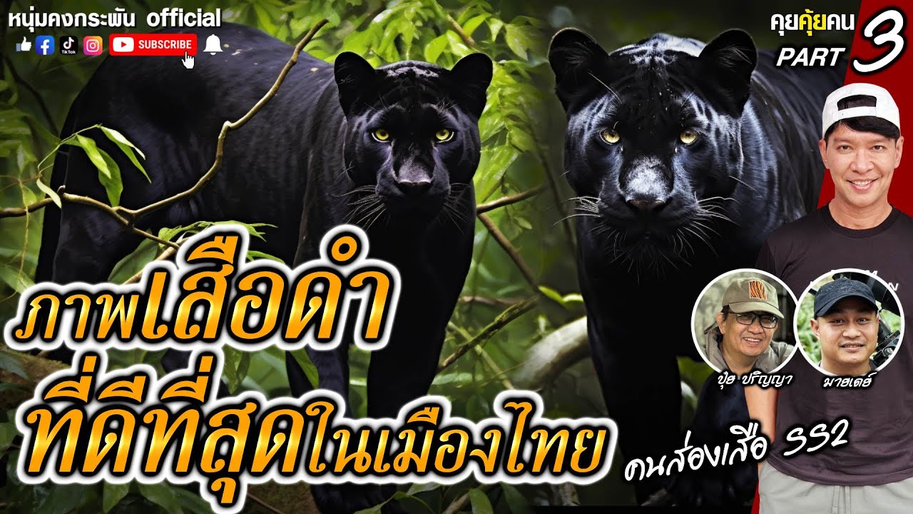 คุยคุ้ยคน | คนส่องเสือ SS2 | ภาพเสือดำที่ดีที่สุดในเมืองไทย Part 3
